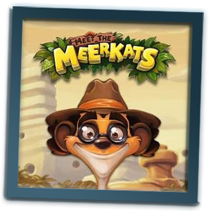 meet-the-meerkats-automat